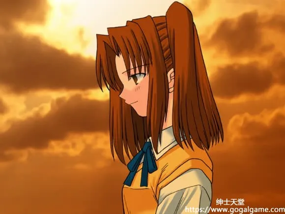 [TYPE-MOON] 月姬