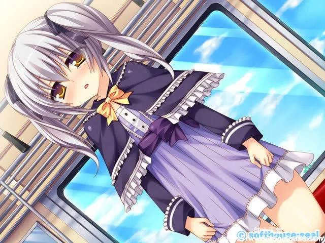 [softhouse-seal] ヤリまん娘 &#8211; 滥交女：我妹妹是bitch