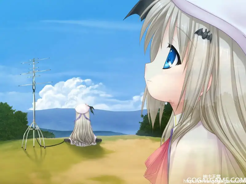 [KEY] 库特wafter