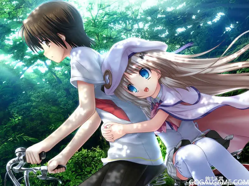 [KEY] 库特wafter