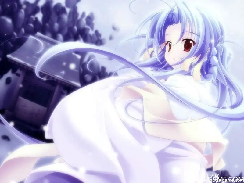 [PULLTOP] 雪之华